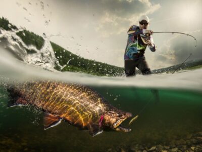 AdobeStock_120870752small (1)