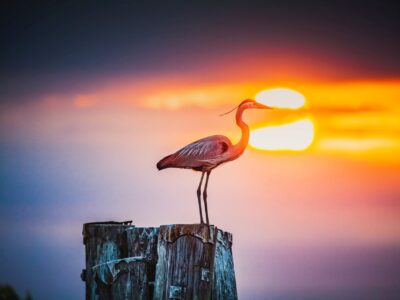 AdobeStock_510653972 - Hero
