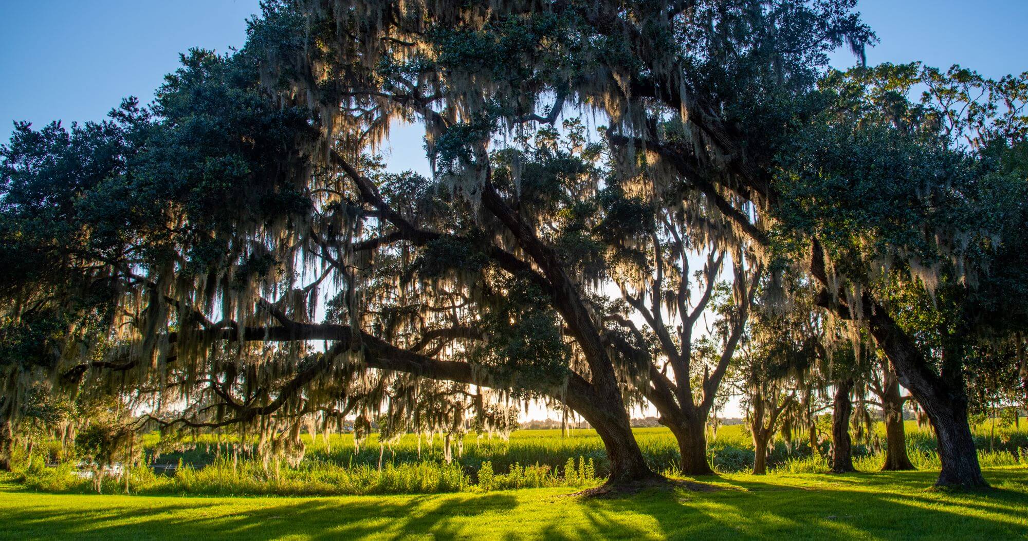 Florida lakeside RV park scenic view