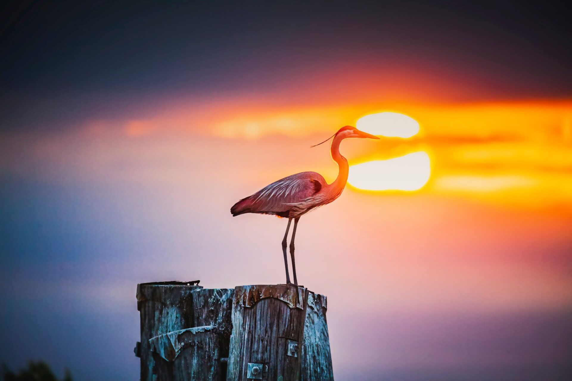 Florida lakeside RV park scenic view